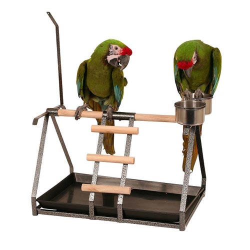 ကြက်တူရွေးငှက်ကစားကွင်း Playstand