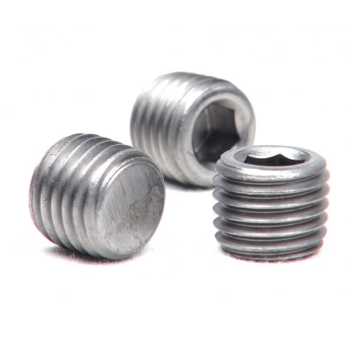 Stainless Steel Oil Pipe Plug